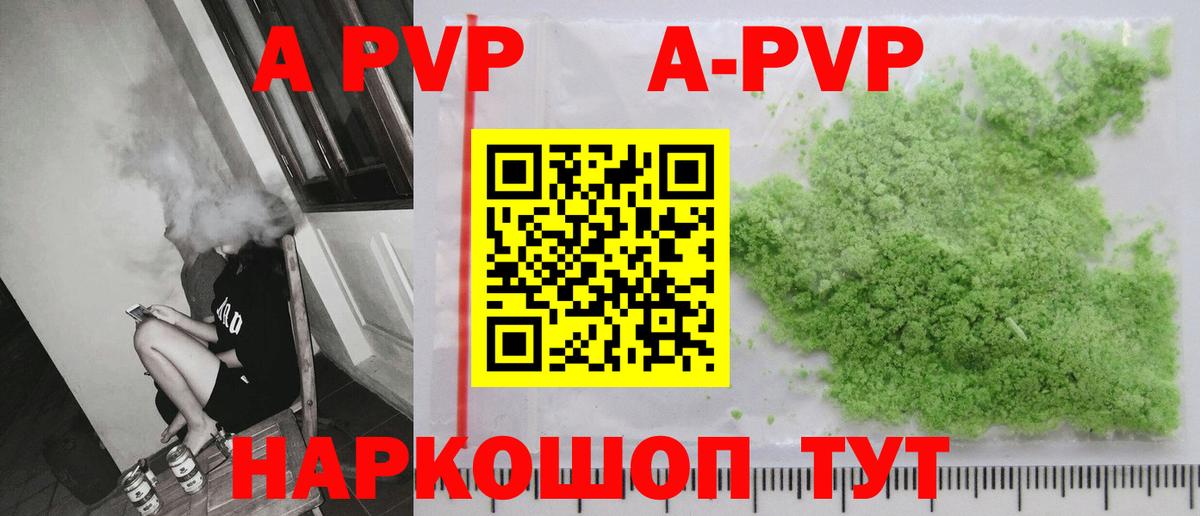 Альфа ПВП СК Аргун