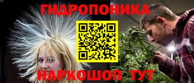 дживик Владимир
