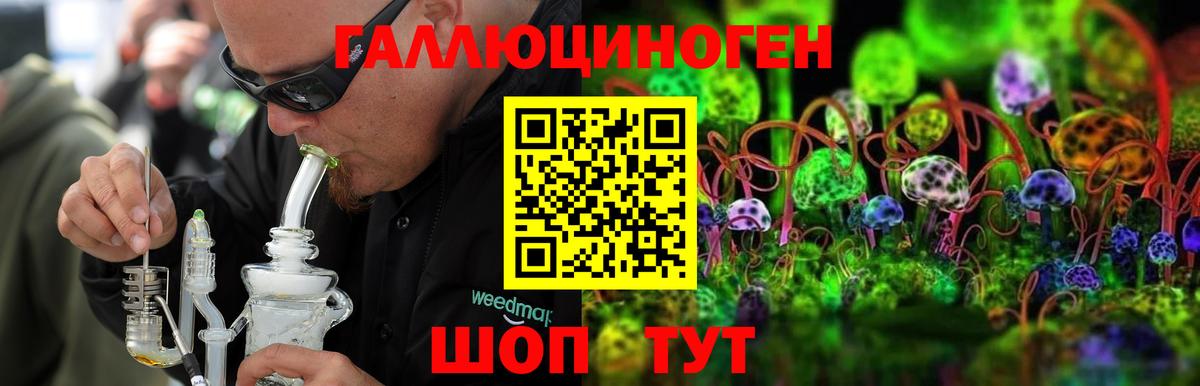 Галлюциногенные грибы Psilocybe  Вход с VPN  Аргун 