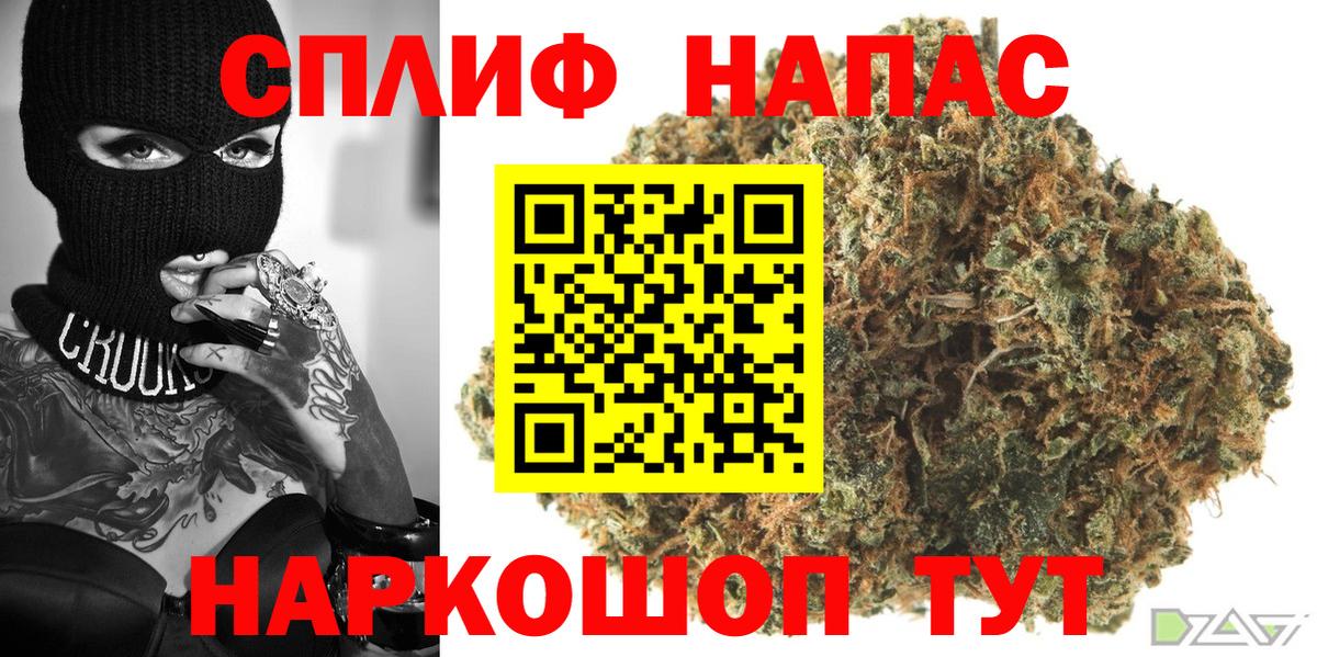 Канабис семена  Вход с VPN  Каннабис семена  Аргун  Бошки Шишки марихуана 